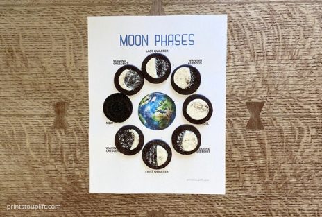 moon phase cookie activity